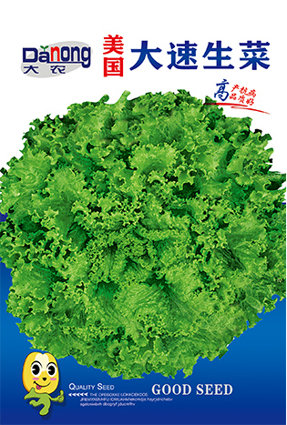 美國大速生菜