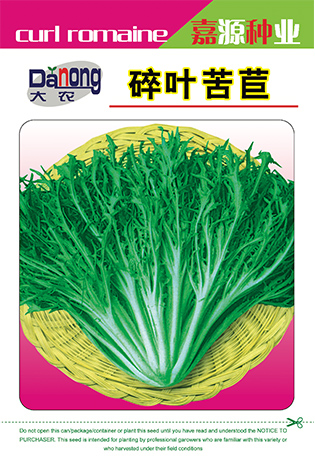 碎葉苦苣
