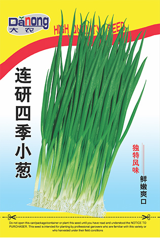 連研四季小蔥