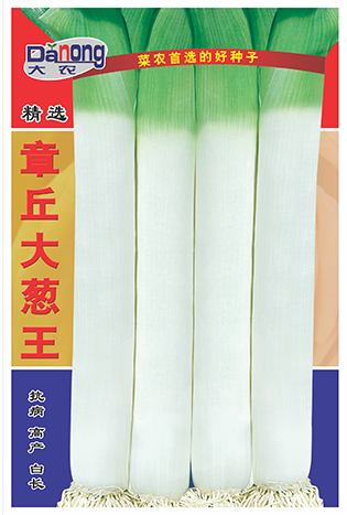 章丘大蔥王