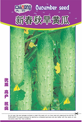 新春秋旱黃瓜