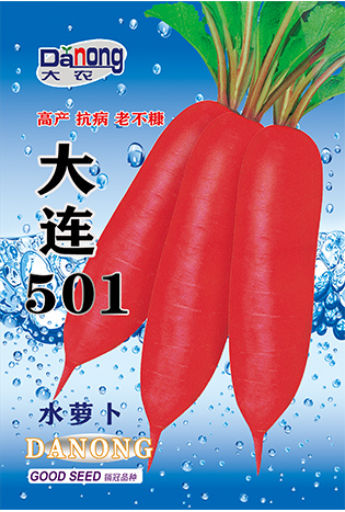 大連501（水蘿卜）