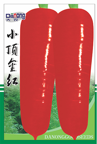 小頂金紅