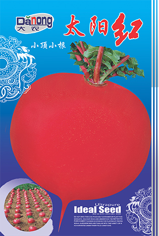 太陽紅