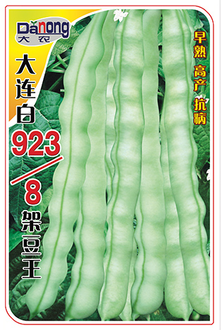 大連923/8架豆王
