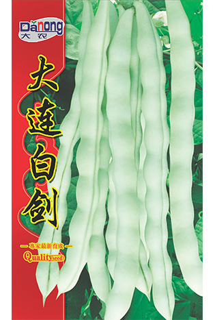 大連白劍