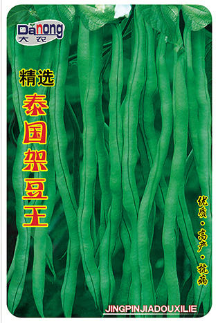 精選泰國架豆王