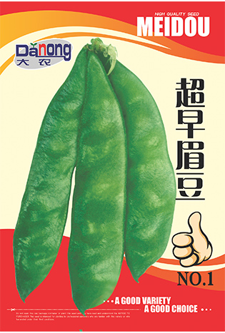 超早眉豆