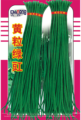 黃綠綠豇