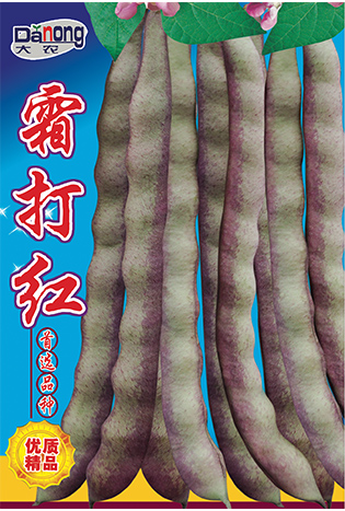 霜打紅
