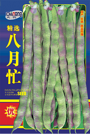 八月忙