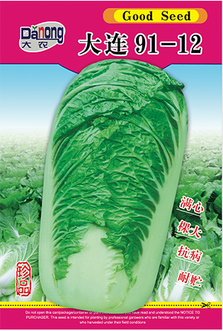 大連91-12