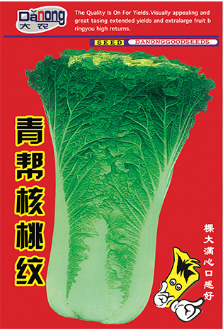 青幫核桃紋