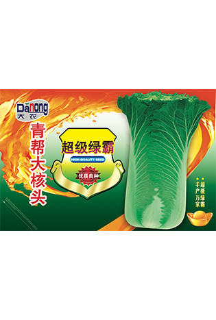 青幫達(dá)核頭